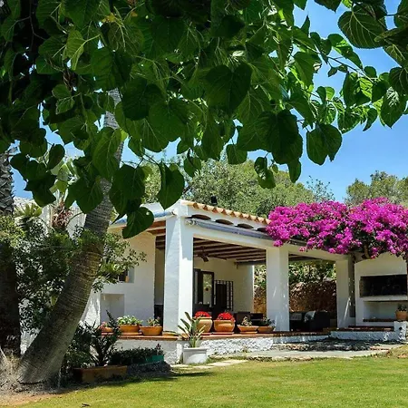 New! Lluis Benirras * Sant Joan De Labritja